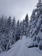 Schneeschuhwanderung Darmstädter Hütte, Januar 2026